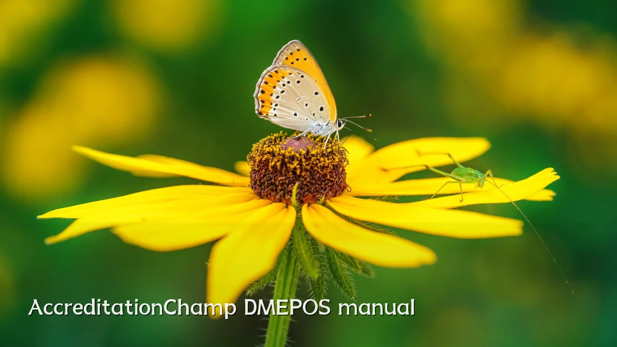 AccreditationChamp DMEPOS manual