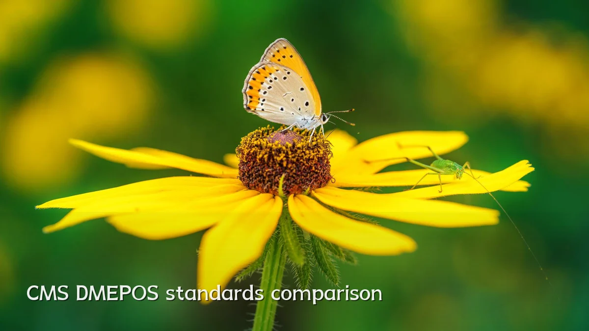 CMS DMEPOS standards comparison
