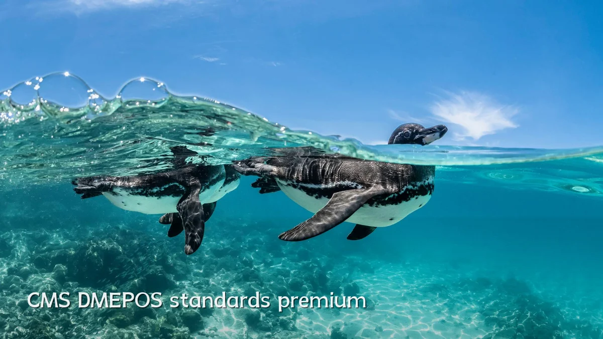 CMS DMEPOS standards premium
