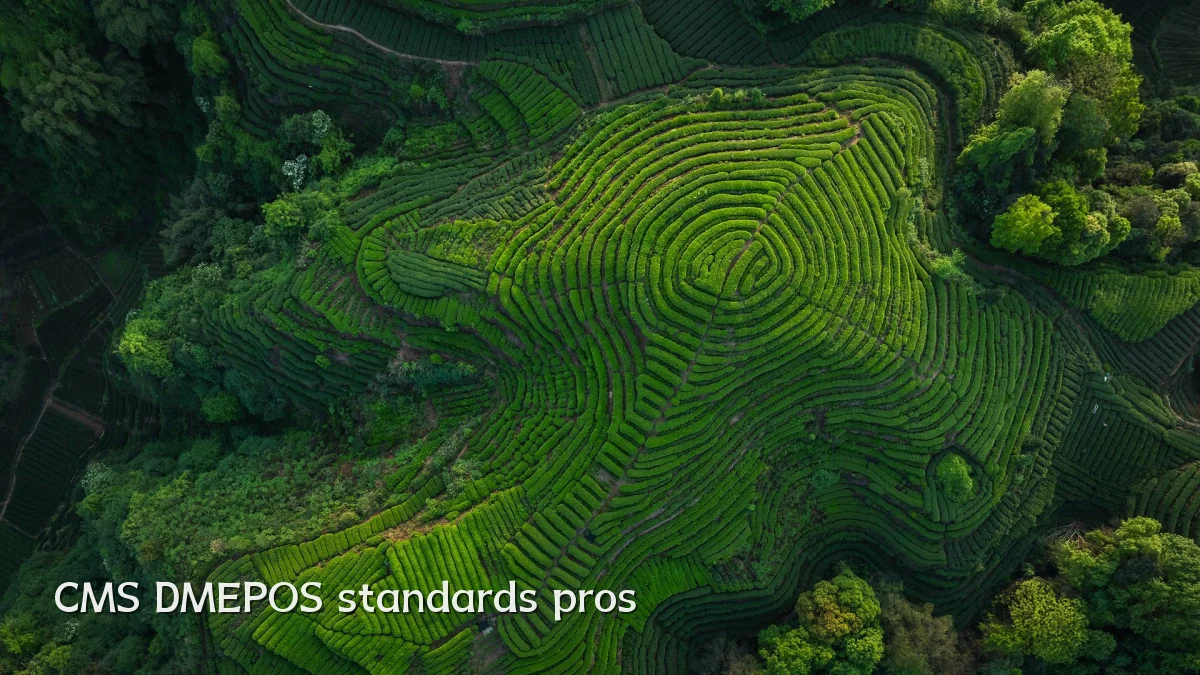CMS DMEPOS standards pros