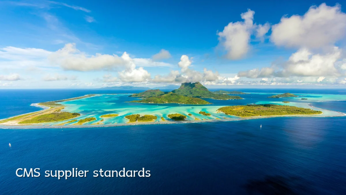 CMS supplier standards