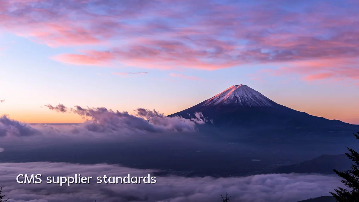 CMS supplier standards