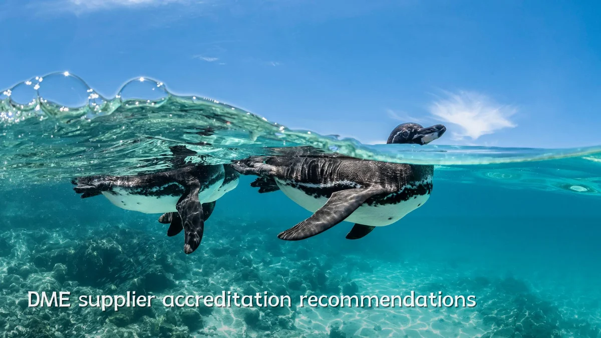 DME supplier accreditation recommendations
