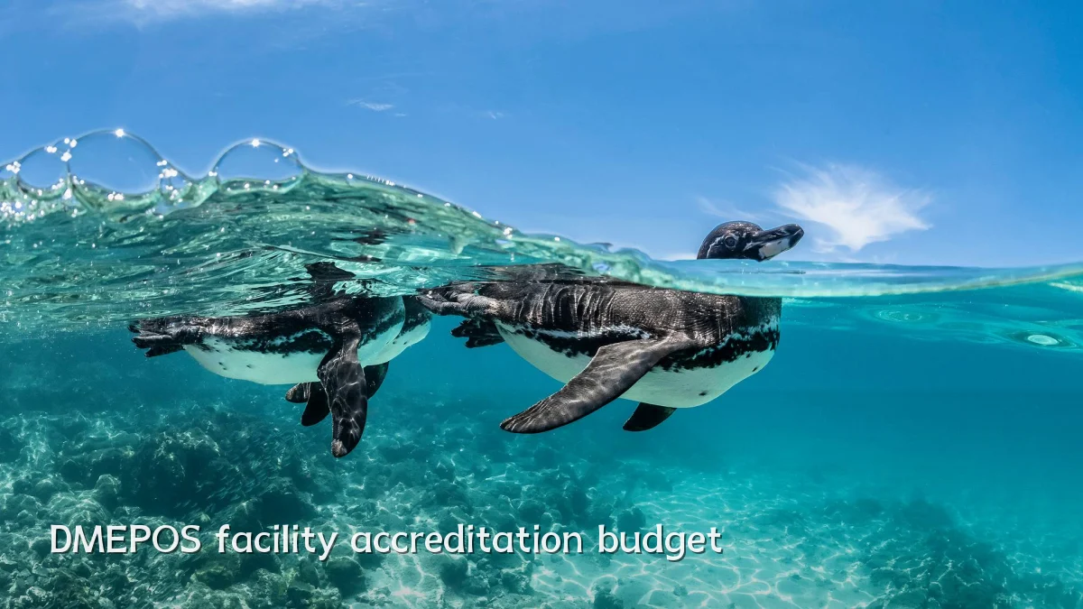 DMEPOS facility accreditation budget