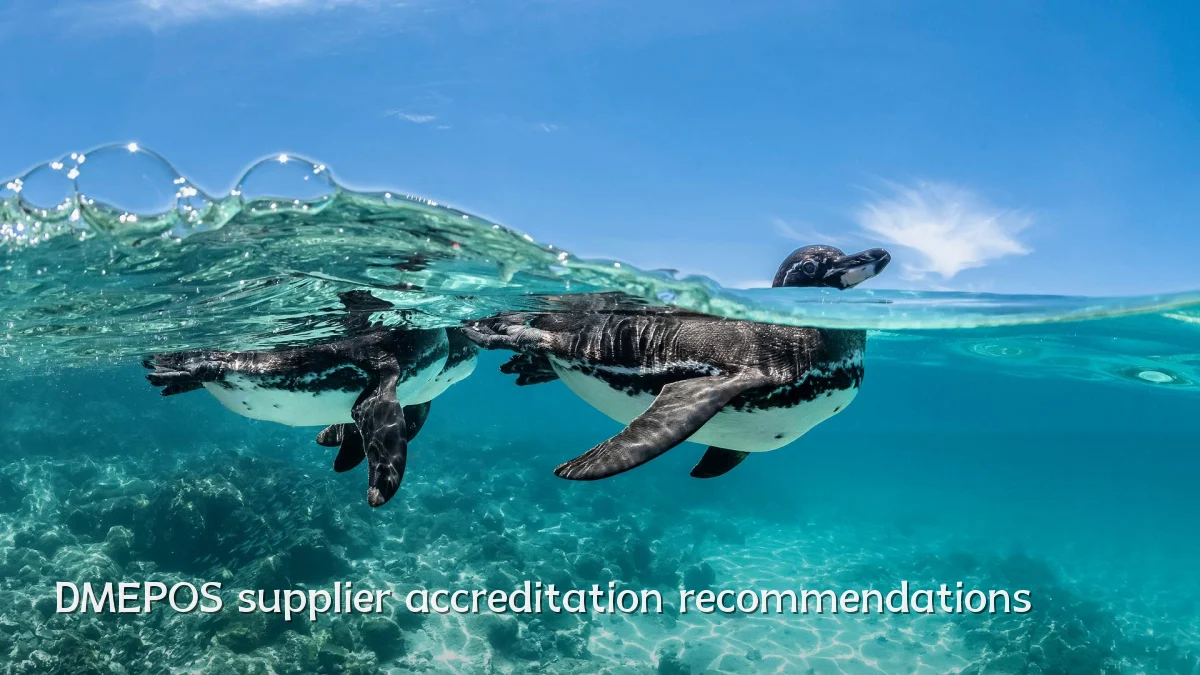 DMEPOS supplier accreditation recommendations