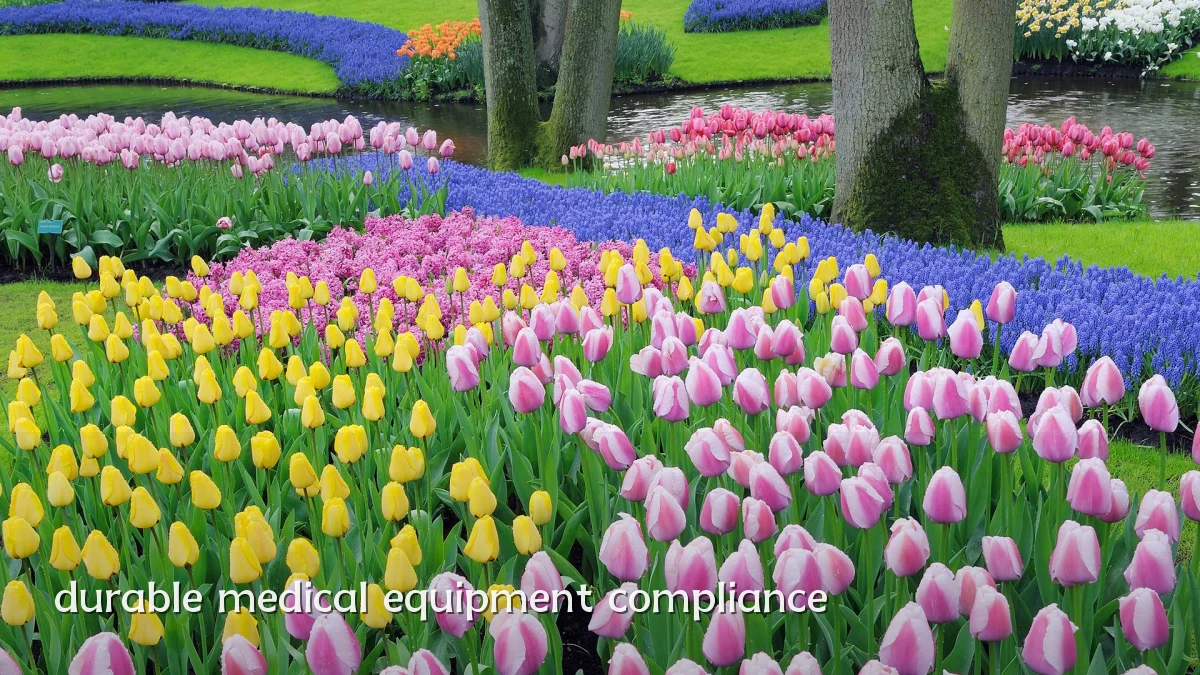 durable medical equipment compliance
