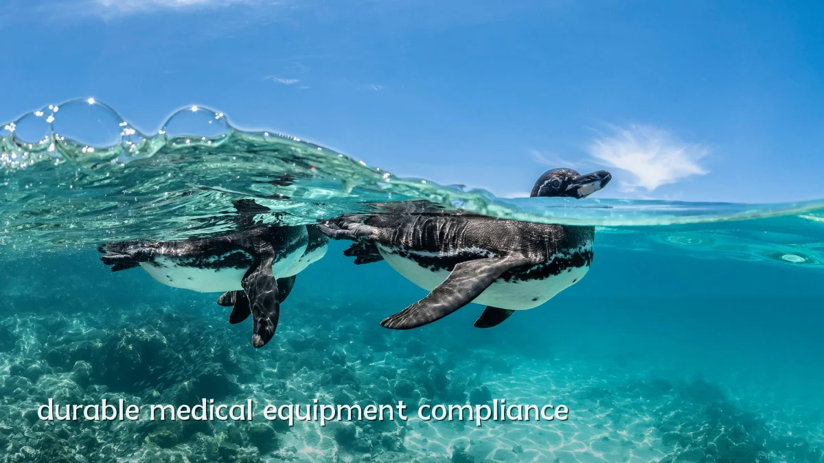 durable medical equipment compliance