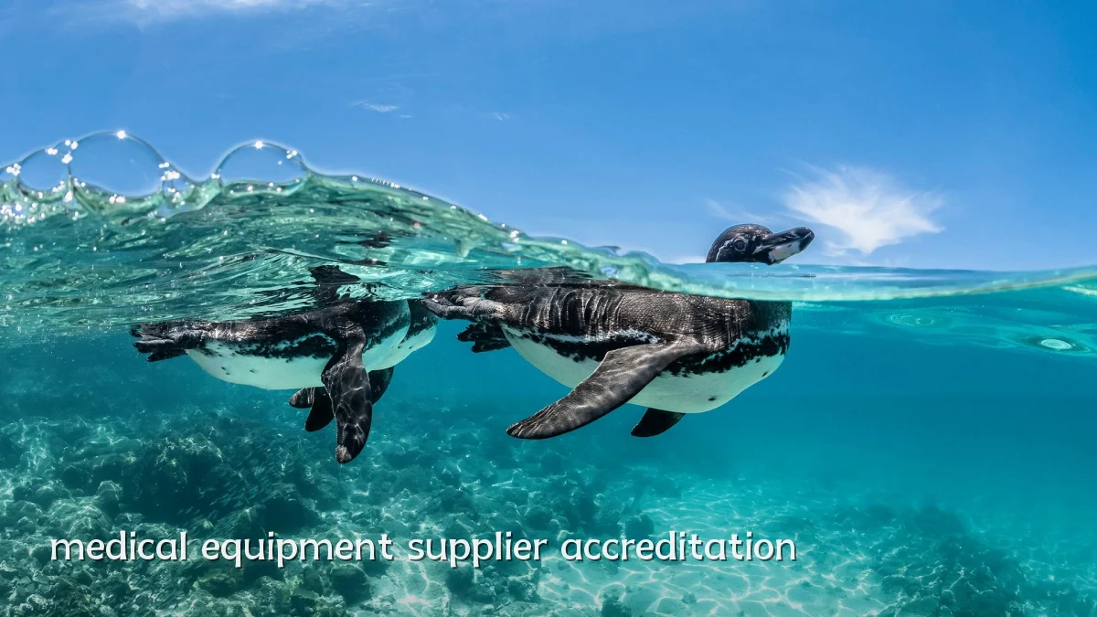 medical equipment supplier accreditation