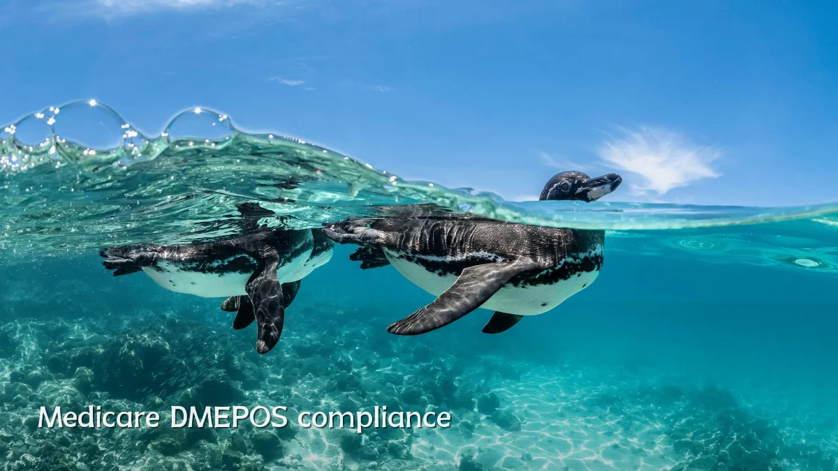 Medicare DMEPOS compliance
