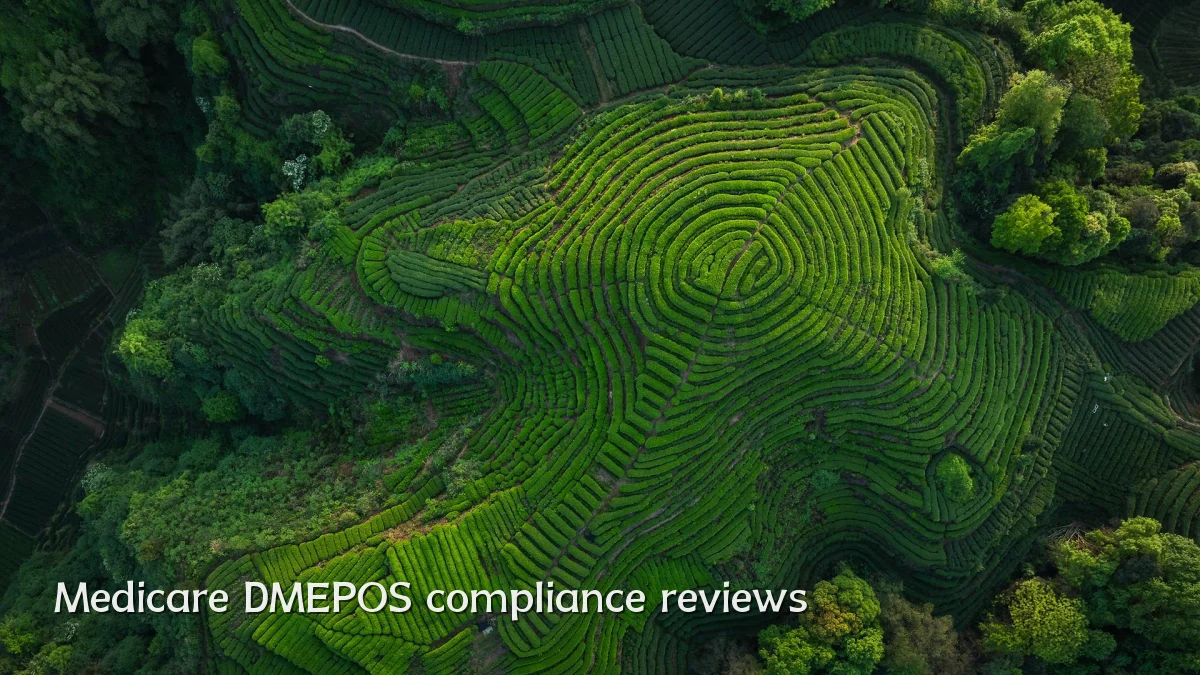 Medicare DMEPOS compliance reviews