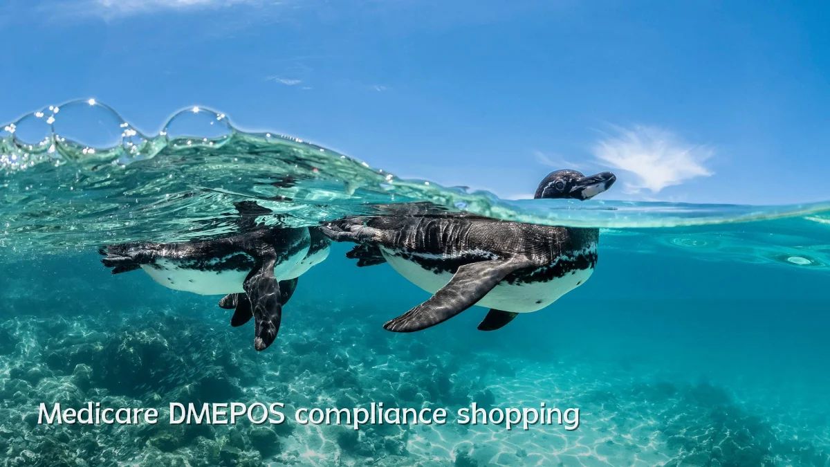 Medicare DMEPOS compliance shopping