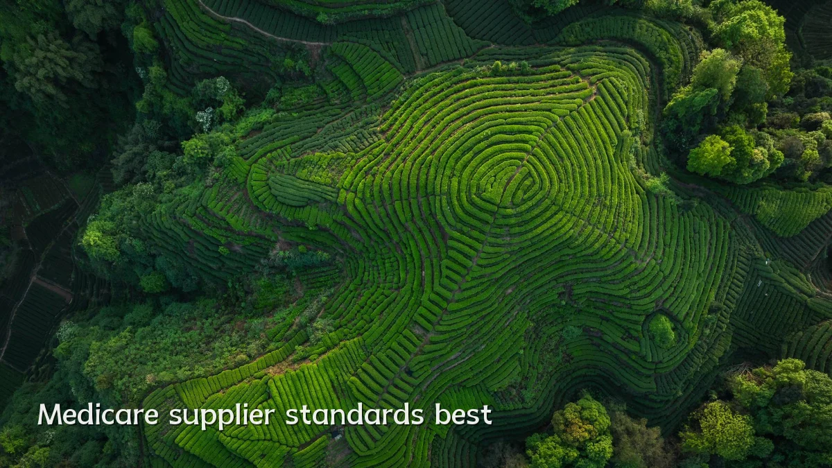 Medicare supplier standards best