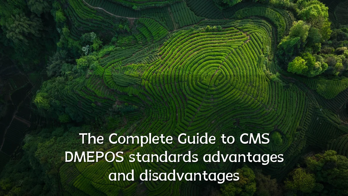 The Complete Guide to CMS DMEPOS standards advantages and disadvantages