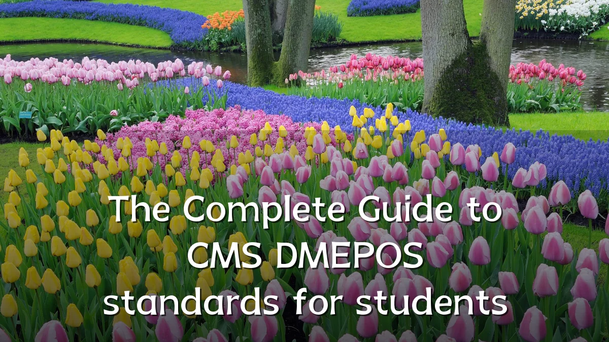 The Complete Guide to CMS DMEPOS standards for students