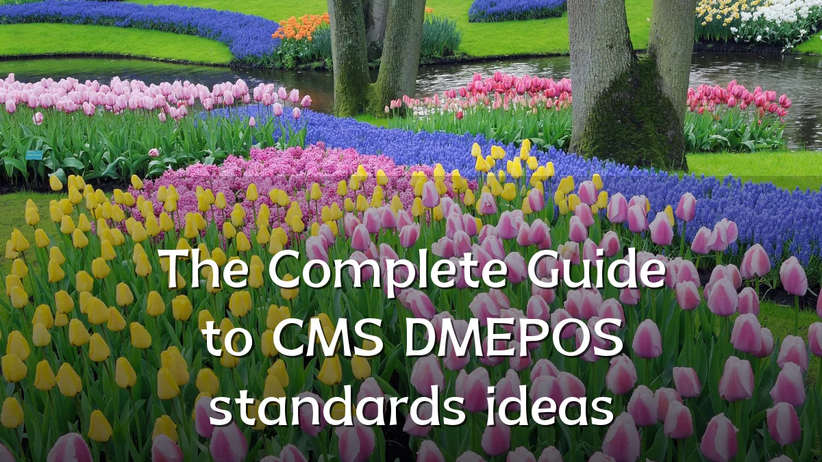 The Complete Guide to CMS DMEPOS standards ideas