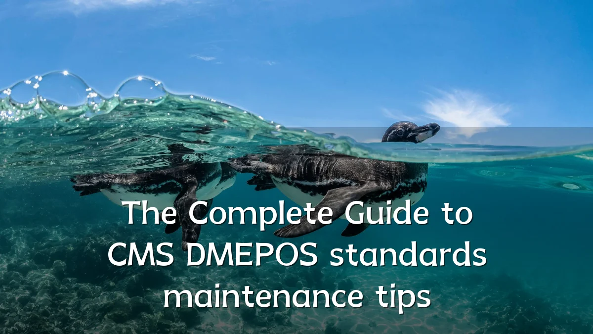 The Complete Guide to CMS DMEPOS standards maintenance tips