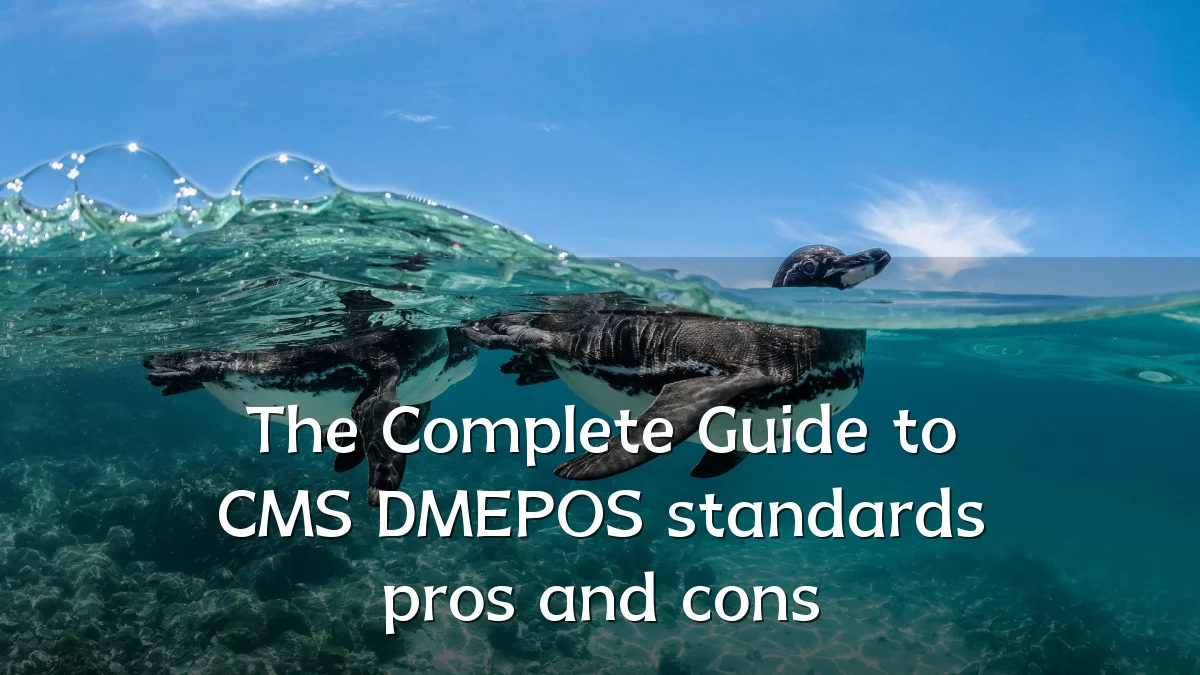 The Complete Guide to CMS DMEPOS standards pros and cons