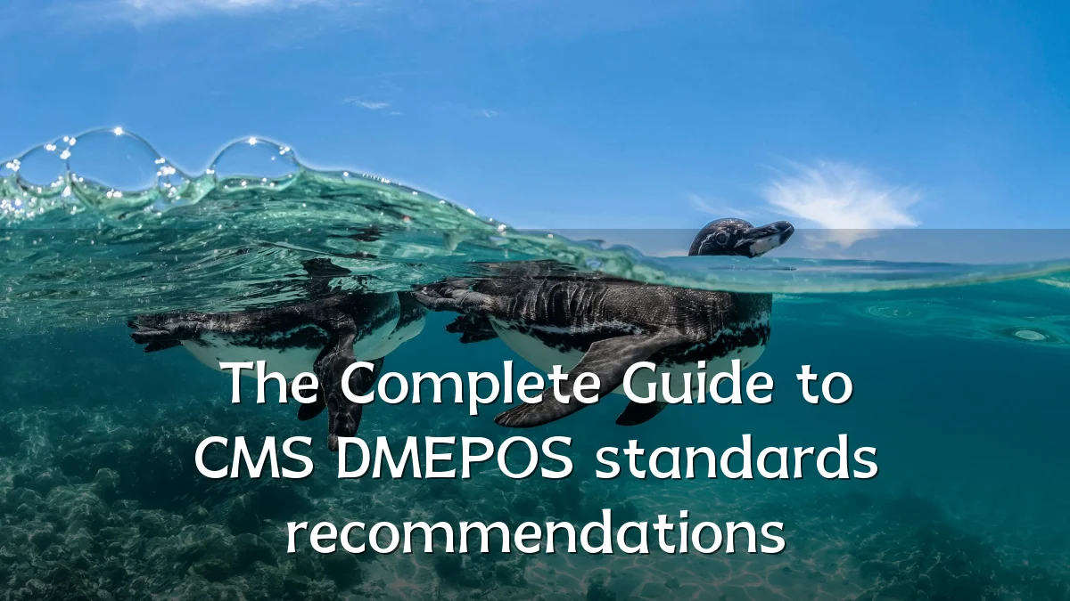 The Complete Guide to CMS DMEPOS standards recommendations