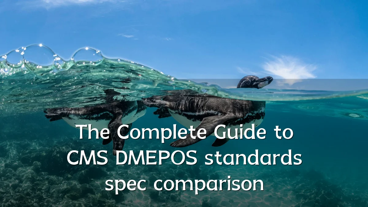 The Complete Guide to CMS DMEPOS standards spec comparison
