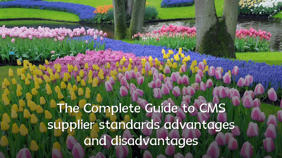 The Complete Guide to CMS supplier standards advantages and disadvantages
