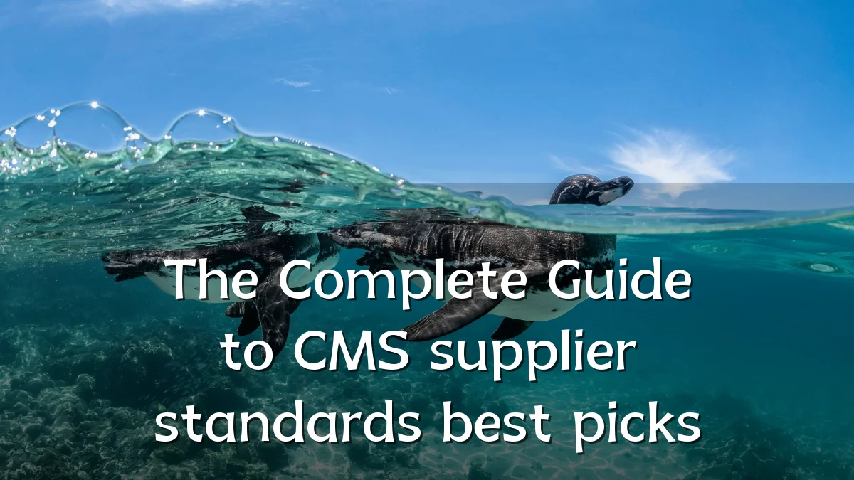 The Complete Guide to CMS supplier standards best picks