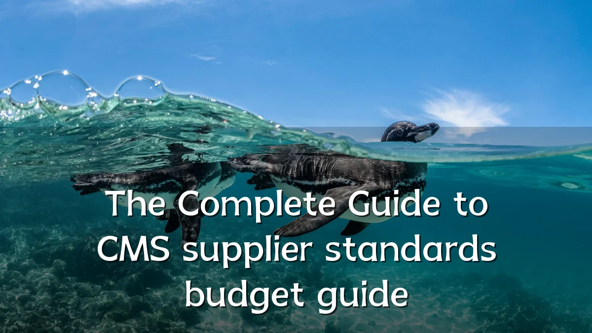 The Complete Guide to CMS supplier standards budget guide