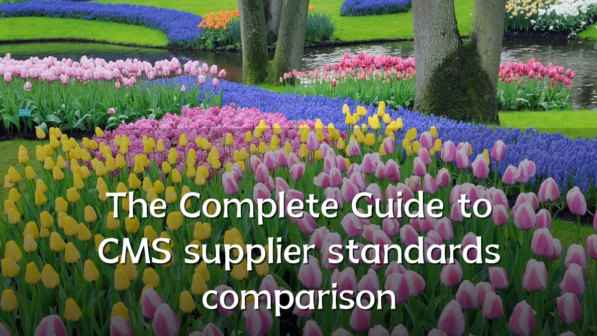 The Complete Guide to CMS supplier standards comparison