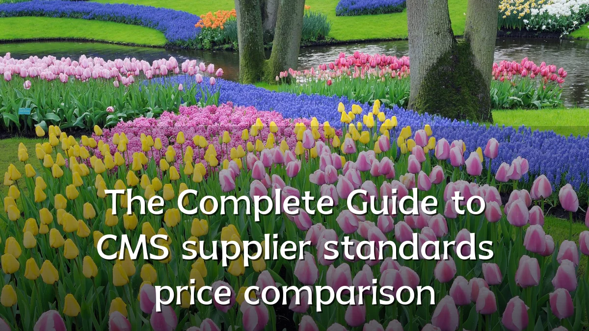 The Complete Guide to CMS supplier standards price comparison