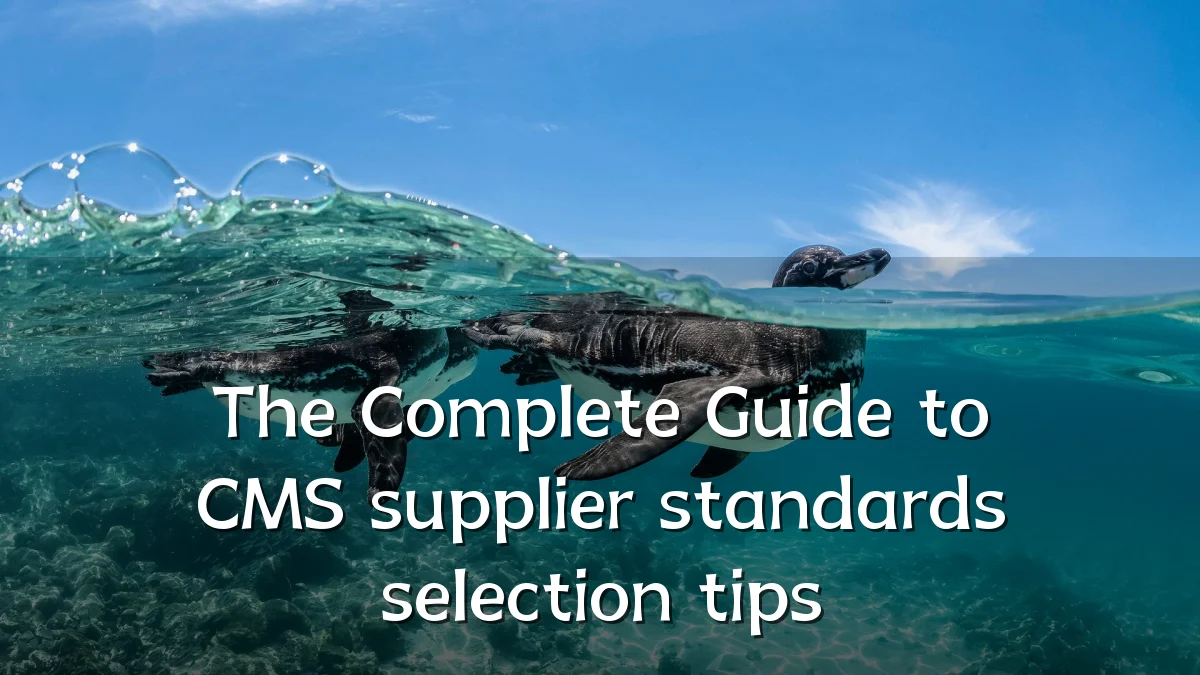The Complete Guide to CMS supplier standards selection tips