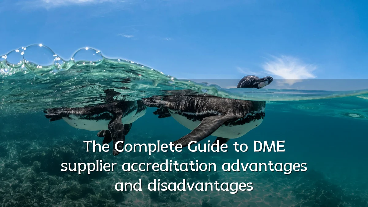 The Complete Guide to DME supplier accreditation advantages and disadvantages