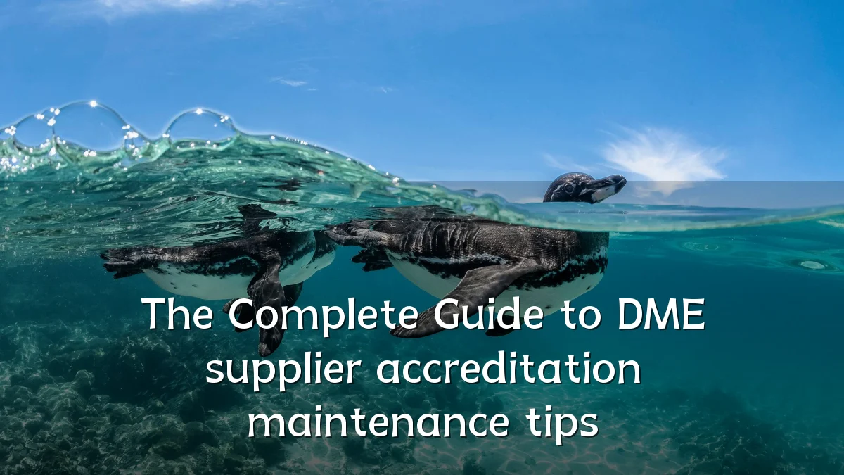 The Complete Guide to DME supplier accreditation maintenance tips