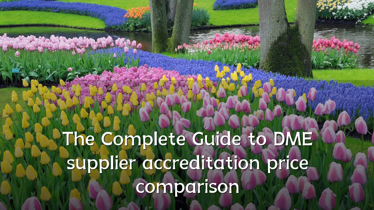 The Complete Guide to DME supplier accreditation price comparison