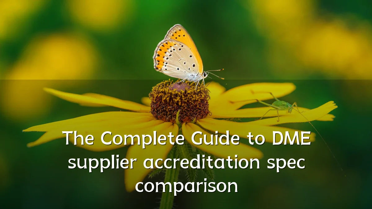 The Complete Guide to DME supplier accreditation spec comparison