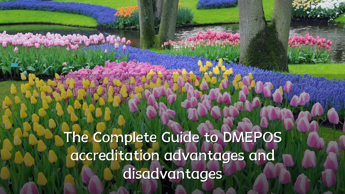 The Complete Guide to DMEPOS accreditation advantages and disadvantages