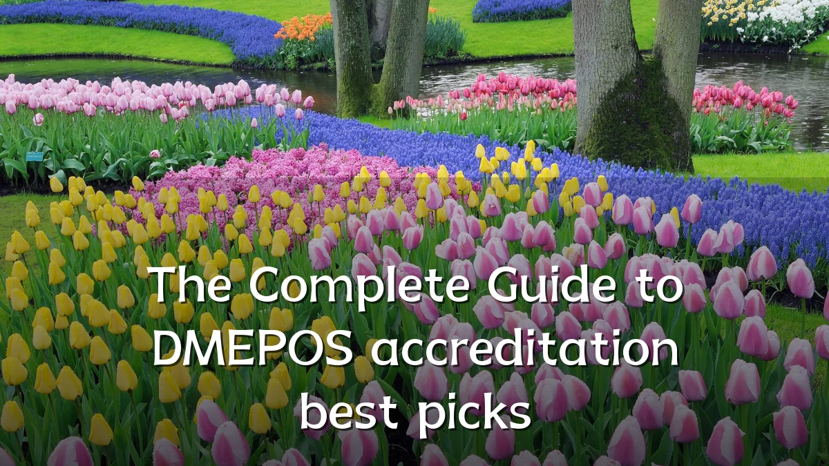 The Complete Guide to DMEPOS accreditation best picks