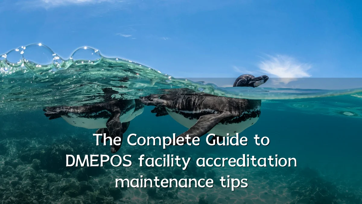 The Complete Guide to DMEPOS facility accreditation maintenance tips