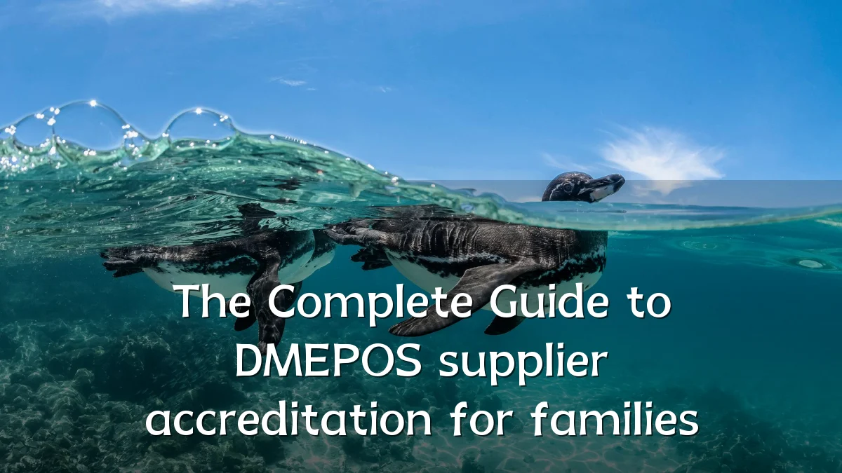 The Complete Guide to DMEPOS supplier accreditation for families
