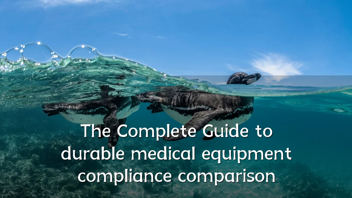 The Complete Guide to durable medical equipment compliance comparison