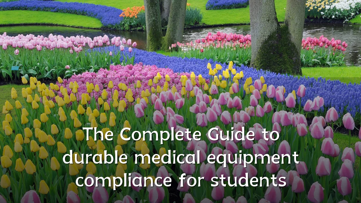 The Complete Guide to durable medical equipment compliance for students