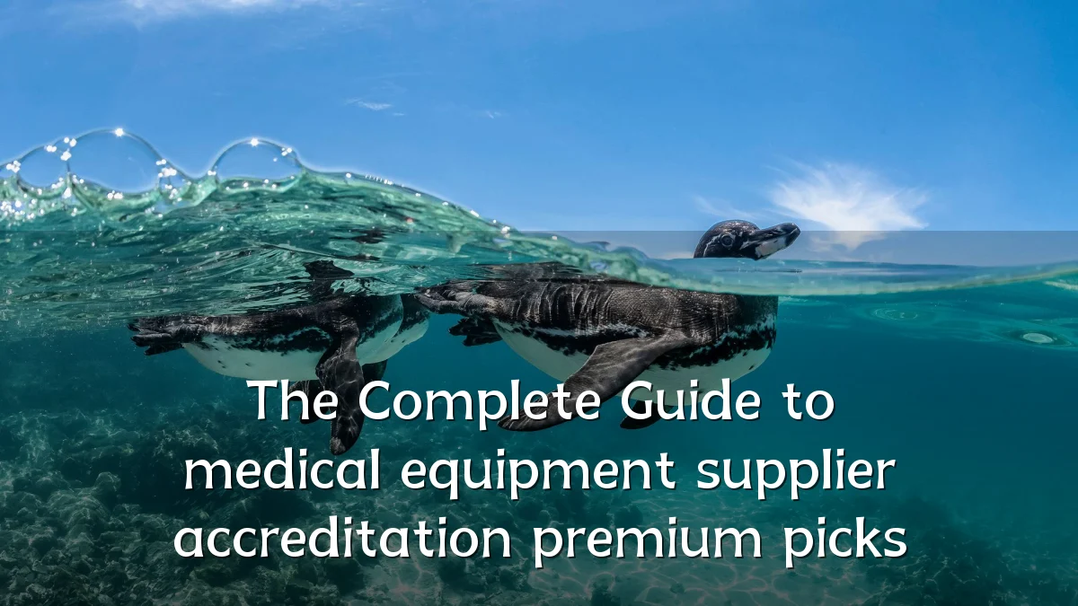 The Complete Guide to medical equipment supplier accreditation premium picks