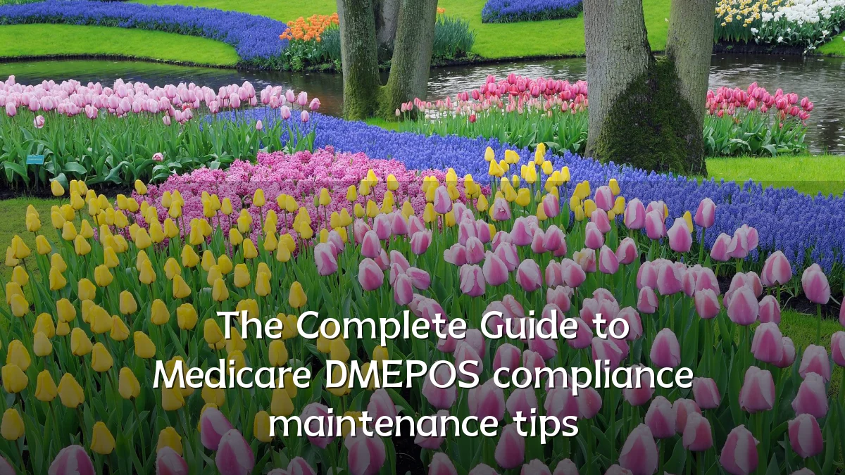 The Complete Guide to Medicare DMEPOS compliance maintenance tips