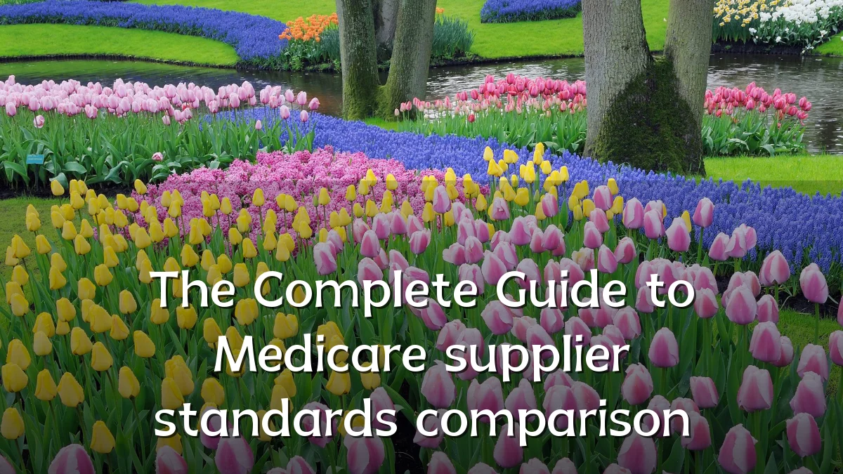 The Complete Guide to Medicare supplier standards comparison