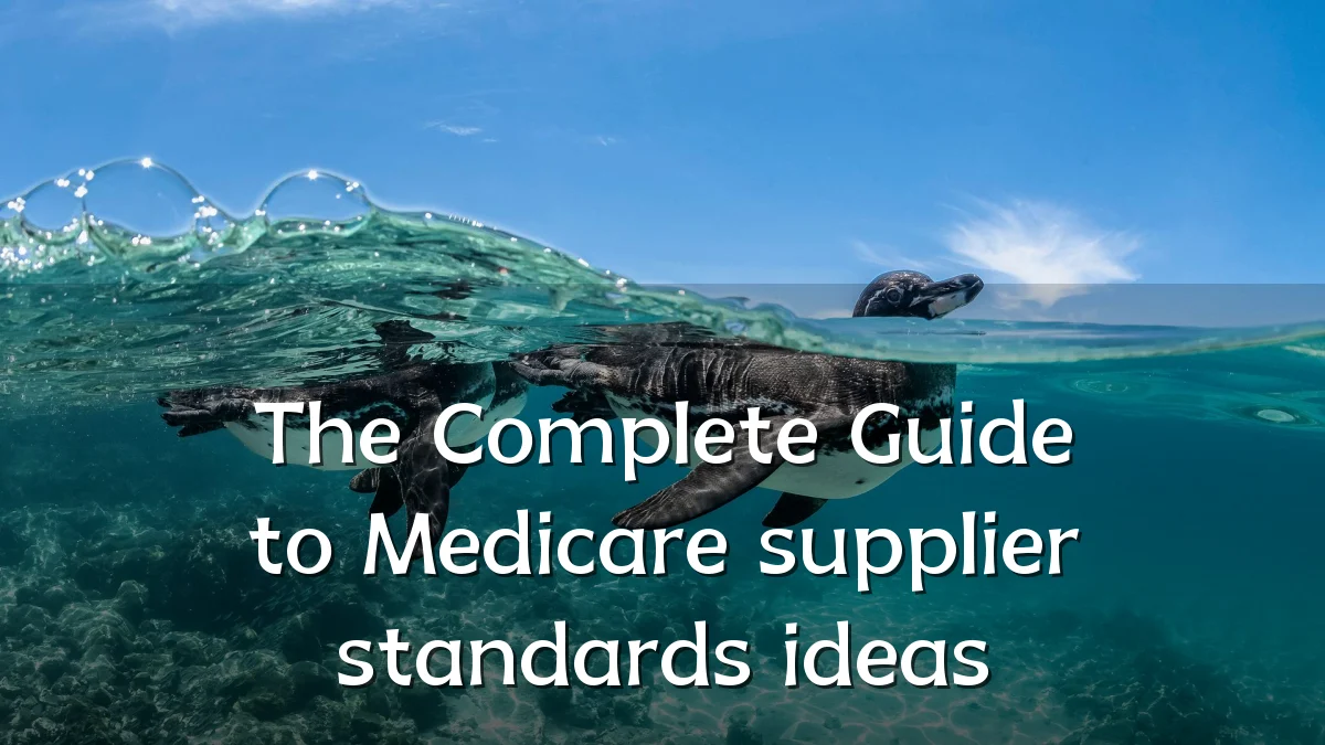 The Complete Guide to Medicare supplier standards ideas