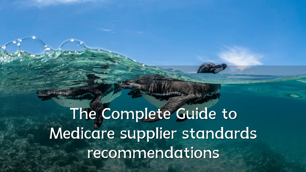 The Complete Guide to Medicare supplier standards recommendations