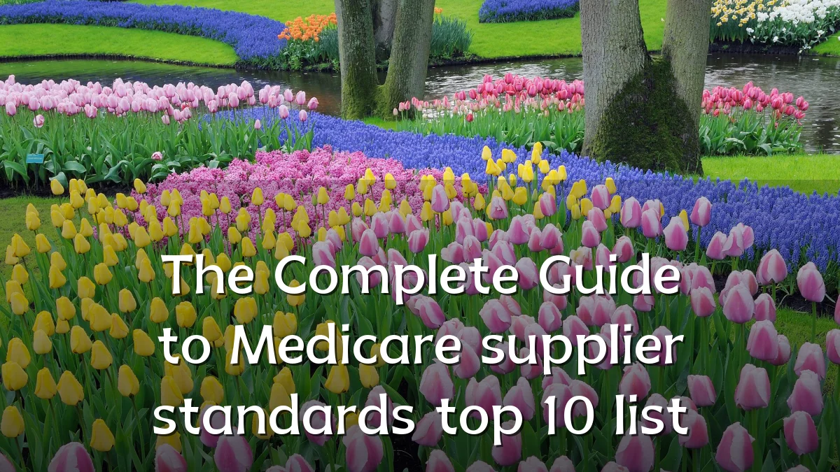The Complete Guide to Medicare supplier standards top 10 list