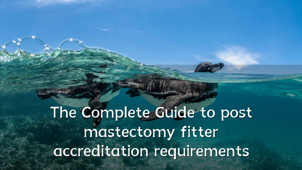 The Complete Guide to post mastectomy fitter accreditation requirements