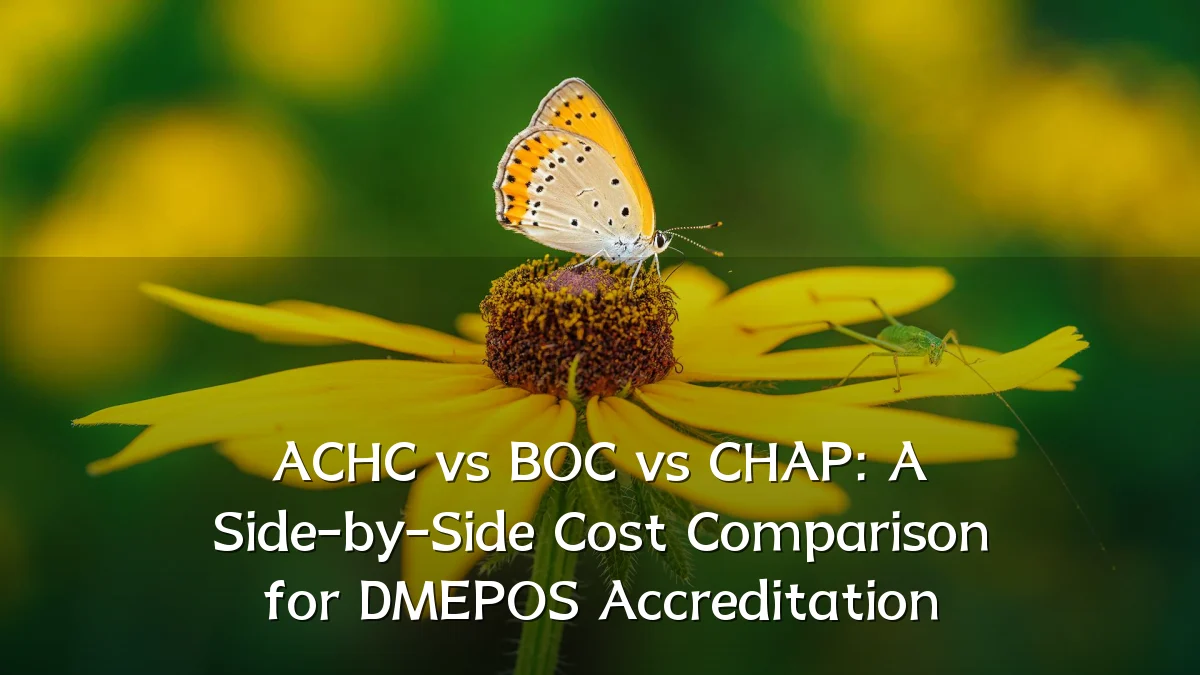 ACHC vs BOC vs CHAP: A Side-by-Side Cost Comparison for DMEPOS Accreditation