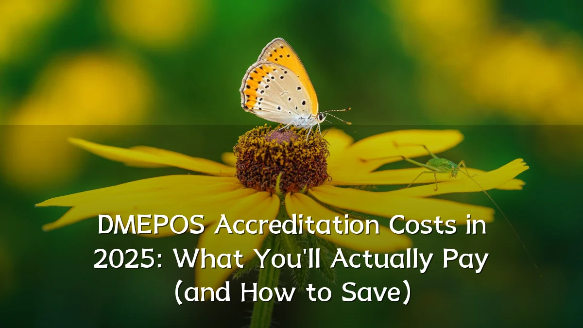 DMEPOS Accreditation Costs in 2025: What You'll Actually Pay (and How to Save)