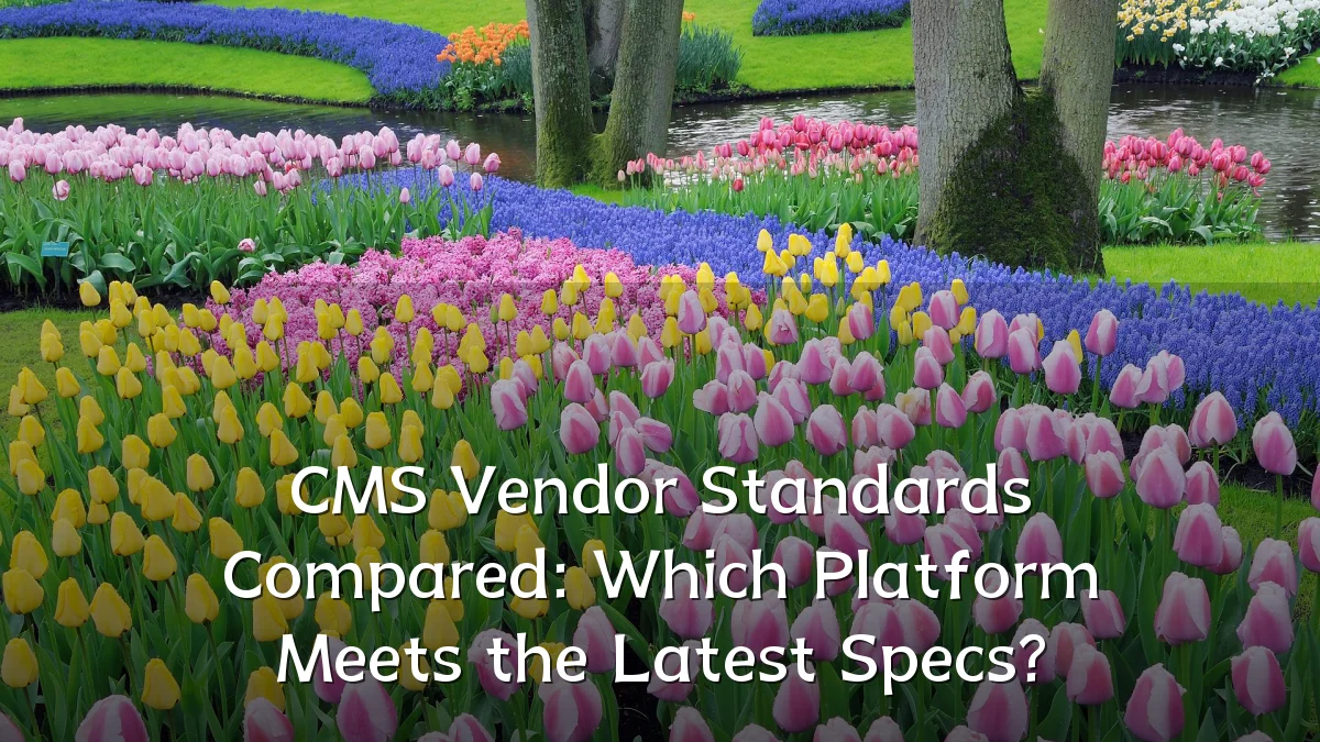 CMS Vendor Standards Compared: Which Platform Meets the Latest Specs?