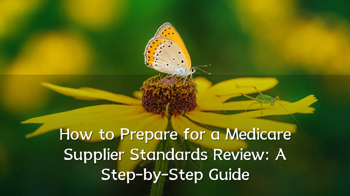 How to Prepare for a Medicare Supplier Standards Review: A Step-by-Step Guide